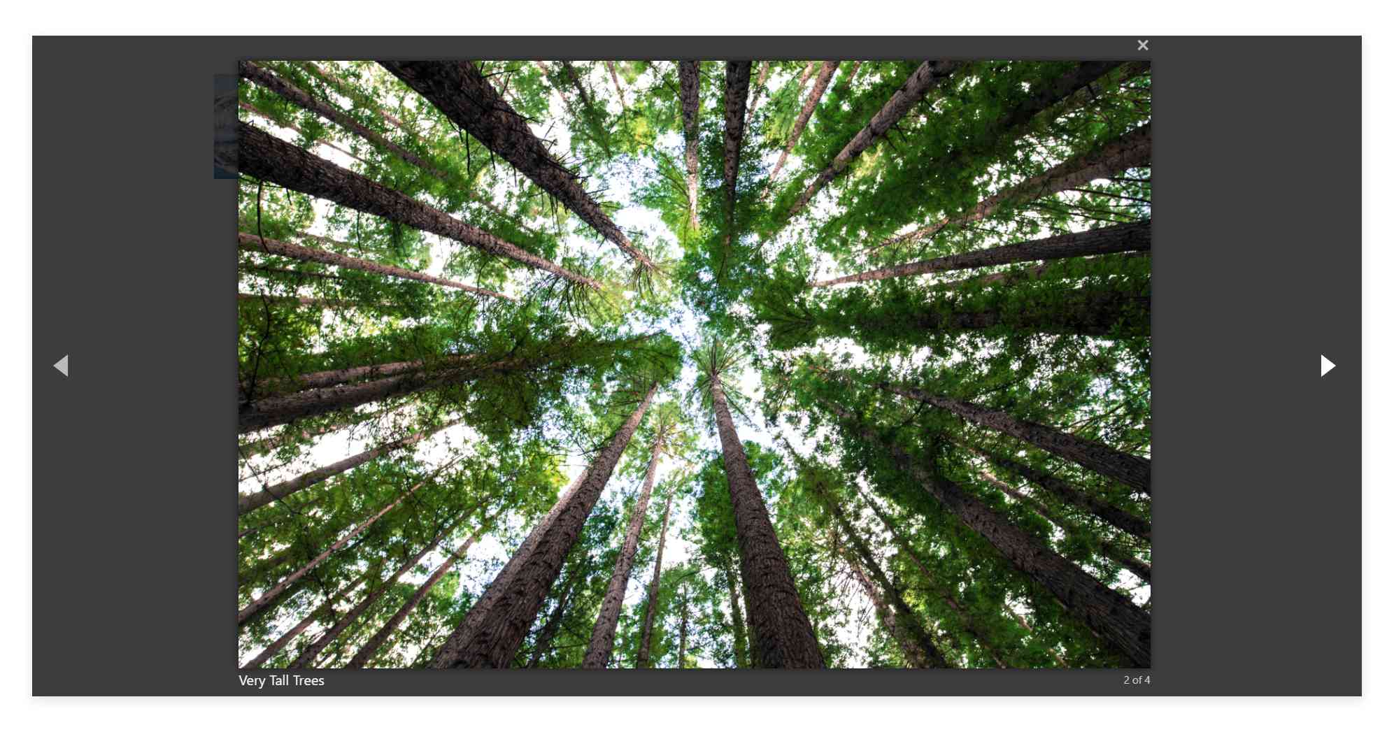 sf-image-gallery-popup-edit