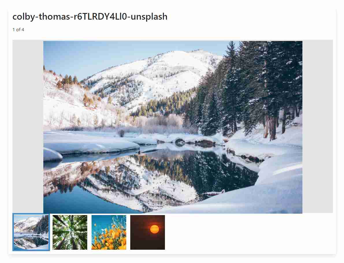 sf-image-thumb-gallery-edit